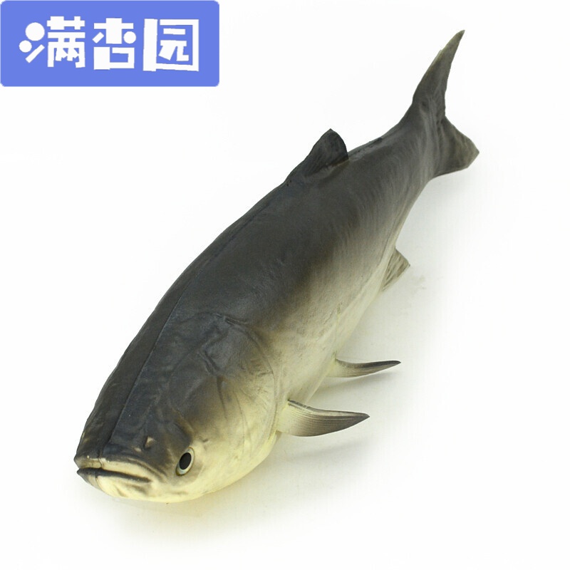 舒弗 Lachouffe 仿真鱼模型假鱼秋刀鱼多宝鱼海洋动物大头鱼鱼摄影装饰道具图片 高清实拍大图 苏宁易购