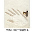 北欧家用卧室床边满铺脚踏垫客厅茶几地垫简约现代沙发榻榻米地毯_3