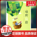 绿野仙踪有声版 蜗牛故事绘彩图注音版 小学生一二三年级必课外阅读书籍经典书目6-7-8周岁儿童读物幼儿绘本老师寒暑假正儿
