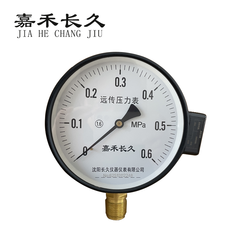 嘉禾长久 远传压力表 YTZ100 0-0.6Mpa 块高清大图