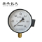 嘉禾长久 远传压力表 YTZ100 0-0.6Mpa 块