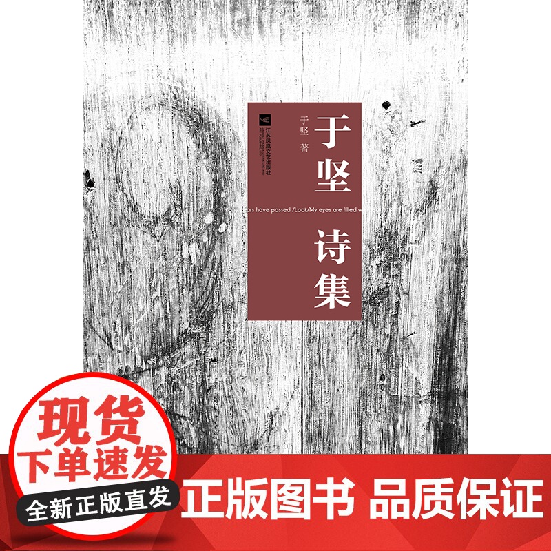 于坚诗集 于坚 江苏文艺出版社 正版书籍高清大图