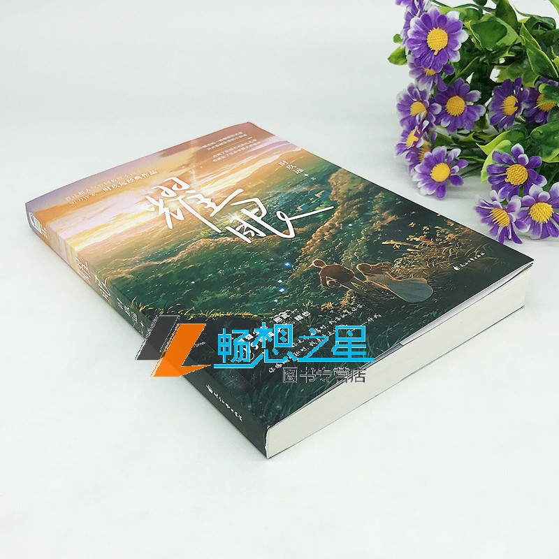 [正版]印签海报+CP手幅+异形书签+语录贴纸印签版耀眼小说1+2时玖远著 青春文学校园言情小说书 耀眼全套 双向高清大图