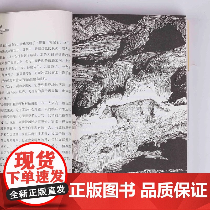 [正版]狼王梦沈石溪动物小说大王品藏书系正版童书三四五六年级小学生课外阅读书籍必读经典书目老师推 经典书 少年儿童出版社高清大图