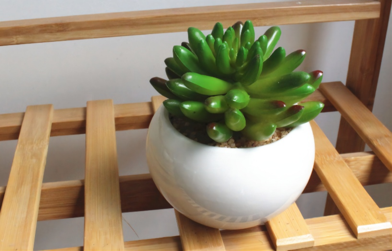 北欧假花仿真多肉植物盆栽假多肉家居店铺绿植摆件塑料装饰花盆景高清大图