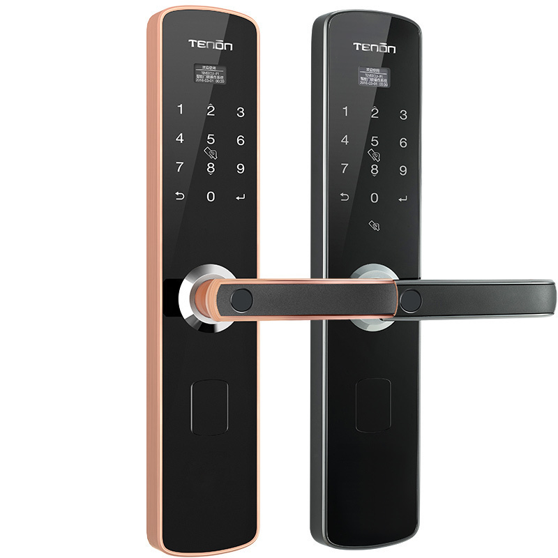 亚太天能(TENON)微信智能指纹锁锌合金家用指纹密码锁门锁E3枪金黑(标准版)适配ios;Android