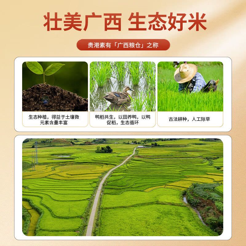 邻家饭香 一级五常大米 5kg/袋 真空双层包装/LJFX133图片