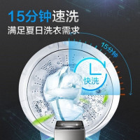 海尔(Haier)9/10公斤洗衣机 幂动力防缠绕全自动波轮家用洗衣机单筒洗脱一体机 羊毛洗 免清洗