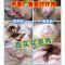 滴耳液60ml1瓶 宠物滴耳液60ml泰迪金毛除耳螨油猫用洗耳液水猫咪狗狗耳朵清洁液