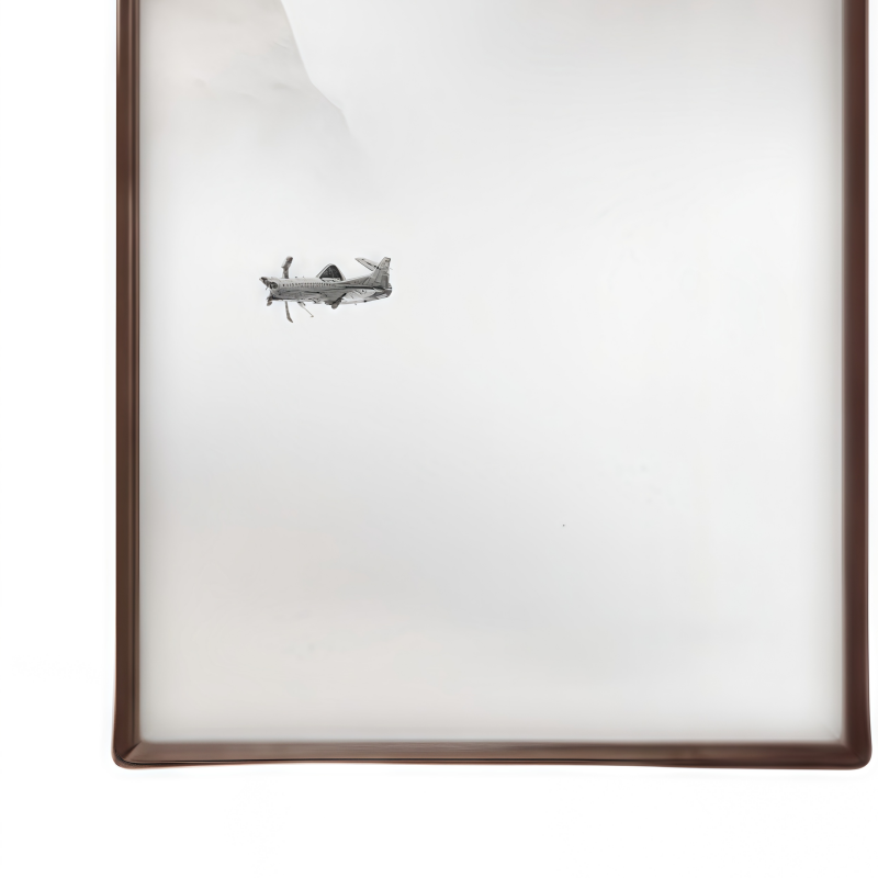 鑫龙都高清大图