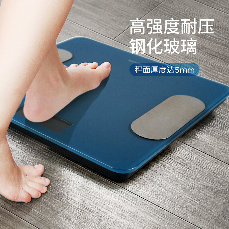 西屋 体脂秤 T201 蓝色高清大图