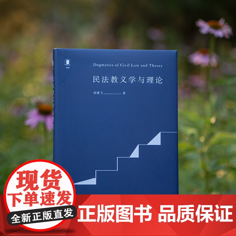 民法教义学与理论 孙维飞 著 法学理论社科 正版图书籍 北京大学出版社高清大图