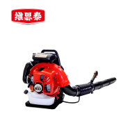 维思泰 风力吹风机除雪机 EB11500 台