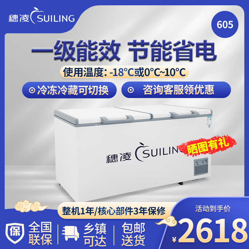 穗凌(SUILING)BD-605E单温大卧柜冰柜冷冻冷藏柜转换厨房冰箱保鲜柜速冻顶开门密封柜商用雪柜544升一级能效