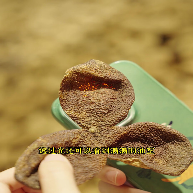 新宝堂 十年新会陈皮10年老陈皮蕴月瓶广东特产泡茶陈皮干玻璃瓶礼盒 新会陈皮 250克(计价单位:瓶)高清大图