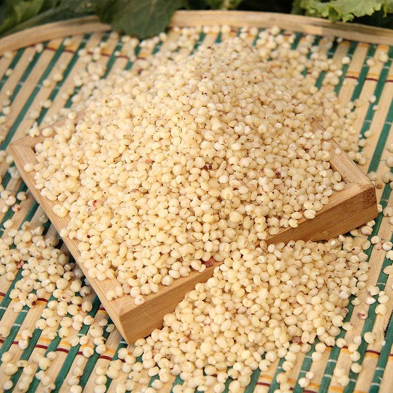 去皮高粱米2500g白高粱米老郭五谷杂粮