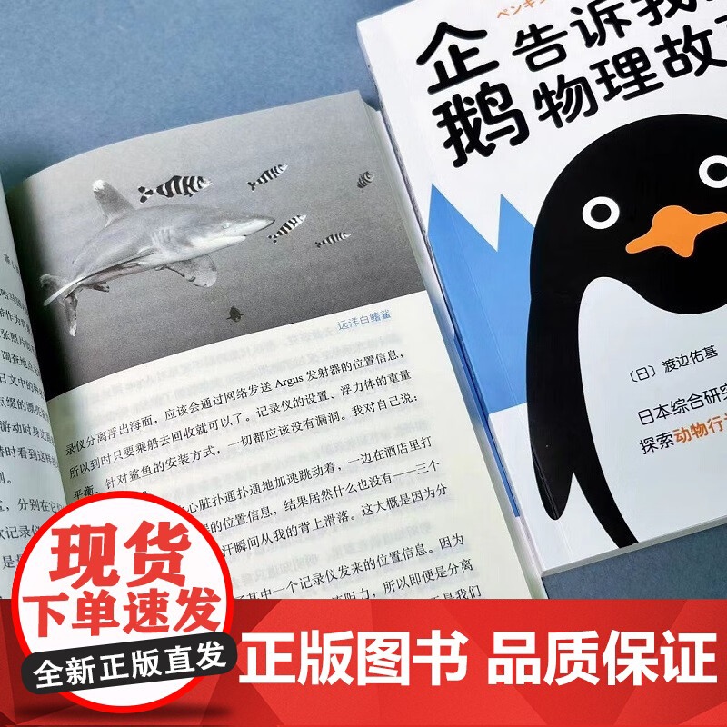 企鹅告诉我的物理故事 渡边佑基 著 中小学教辅高清大图
