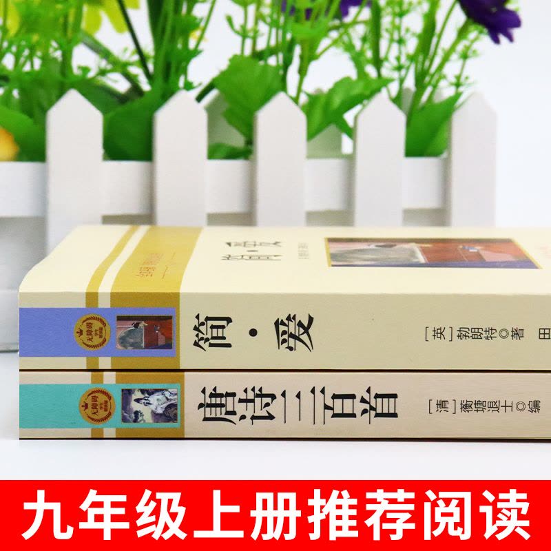 [人教版配套]九年级上下册必读正版12册 [正版]简爱和唐诗三百首人教版九年级上册下册必读的课外书儒林外史和水浒传施耐庵图片