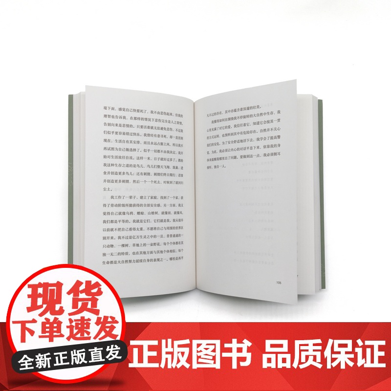 如何捉鼹鼠 9787559876430 北贝 广西师范大学出版社 马克·哈默 著,王知夏 译,惊奇 出品 2025-01高清大图