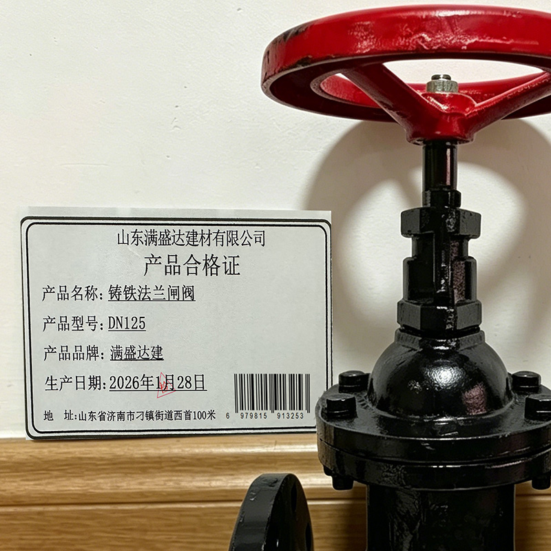 满盛达建 铸铁法兰闸阀 个 DN125个