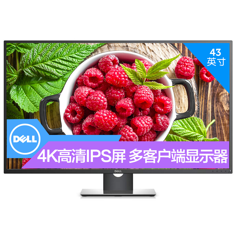 戴尔(DELL)UltraSharp 43 系列 4K USB-C U4320Q显示器