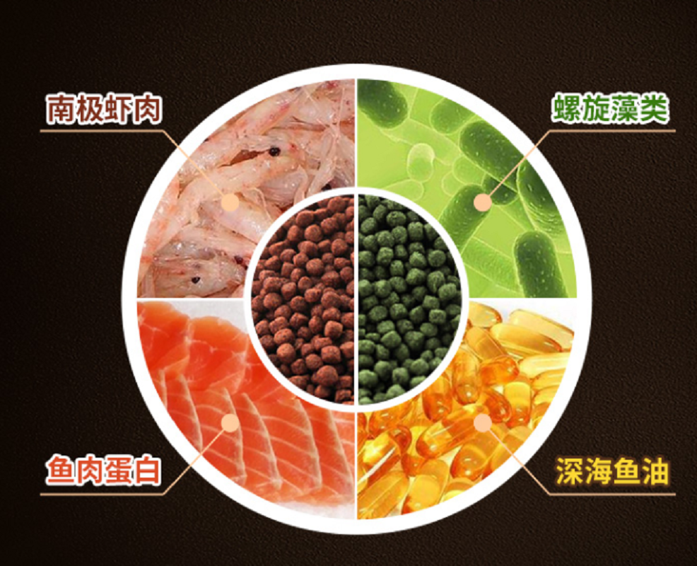 闽江红鹦鹉血鹦鹉鱼饲料鱼食金鱼观赏鱼饲料鱼料鱼粮小颗粒通用型高清大图