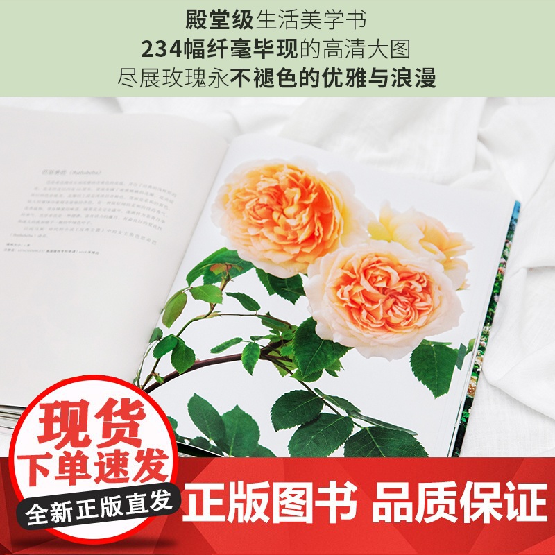 大卫·奥斯汀 迷人的英国玫瑰:世界现代玫瑰之父和他的100种经典之作高清大图