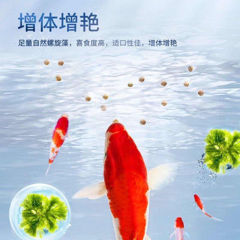 小型鱼粮鱼食500g海豚鱼热带鱼金鱼观赏鱼饲料通用型1mm图片
