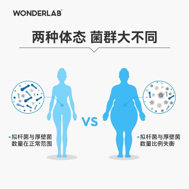 万益蓝 WonderLab B420益生菌(80瓶装) 瘦子菌 体重管理即食益生菌 [1盒装]