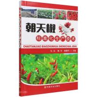 朝天椒标准化生产技术 毛东 蒋华 黄春利 著 专业科技 文轩网