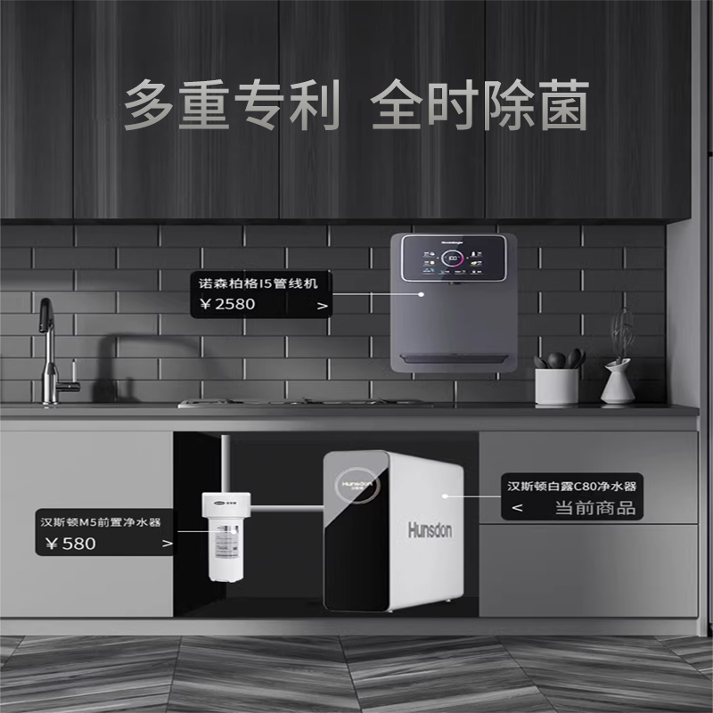 汉斯顿/Hunsdon净水器家用直饮自来水过滤厨房净化反渗透ro净水机800G大通量白露2L/min直饮出水高清大图