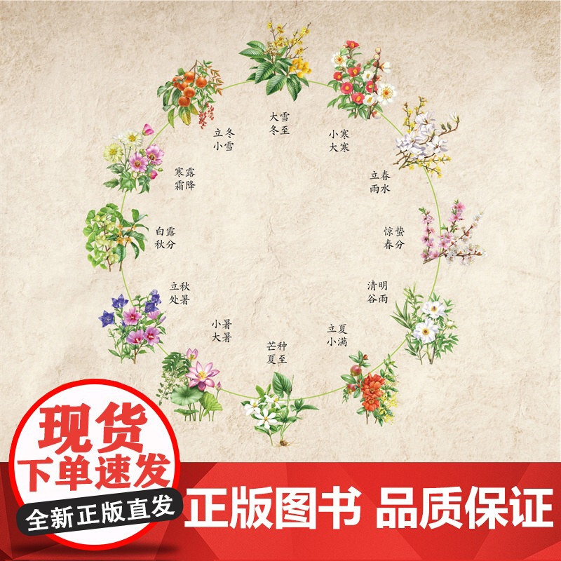 [店]奇妙的本草世界——二十四节气本草百科 中医文化 少儿科普高清大图