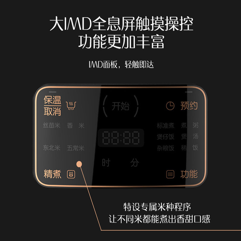 ZHSN天际陶瓷电饭煲家用2L FD20BE