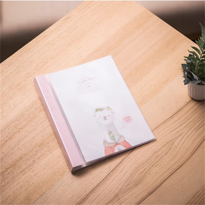 得力72576 羊驼系列插页袋 / 40页资料册 / 颜色随机(1个)(定制)