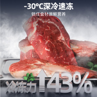 星星(XINGX)家用商用大容量风冷无霜一级能效节能冰柜单温冷藏冷冻转换柜超市便利店雪糕柜BD/BC-240WKE