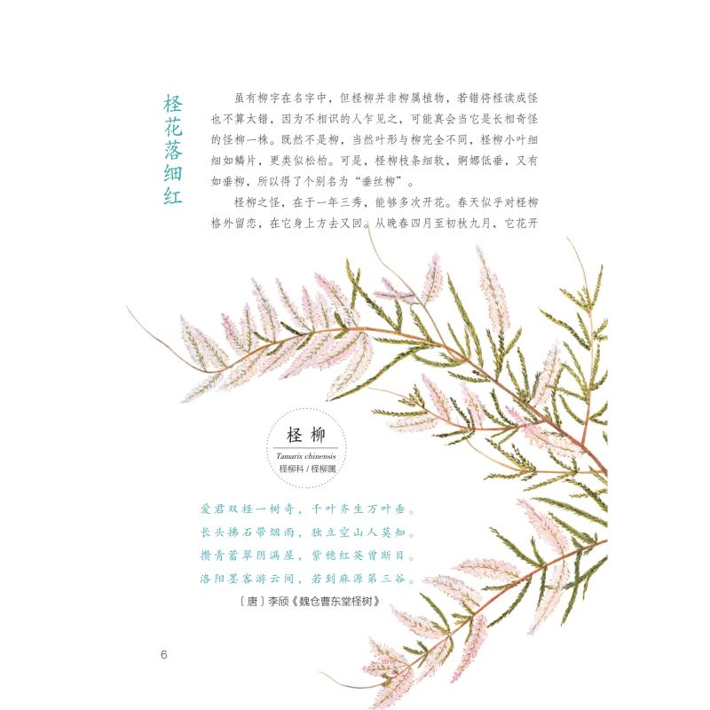 醉染图书木意已欣欣9787542876003高清大图