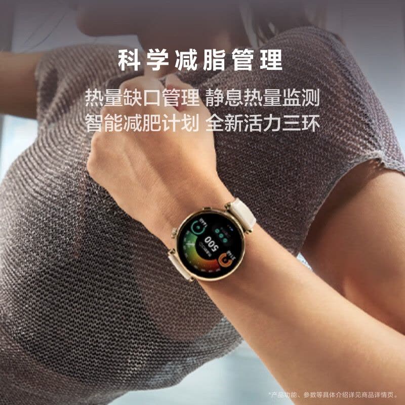 华为/HUAWEI WATCH GT 4 41mm 皓月银 不锈钢间金表带 智能手表 运动手表图片