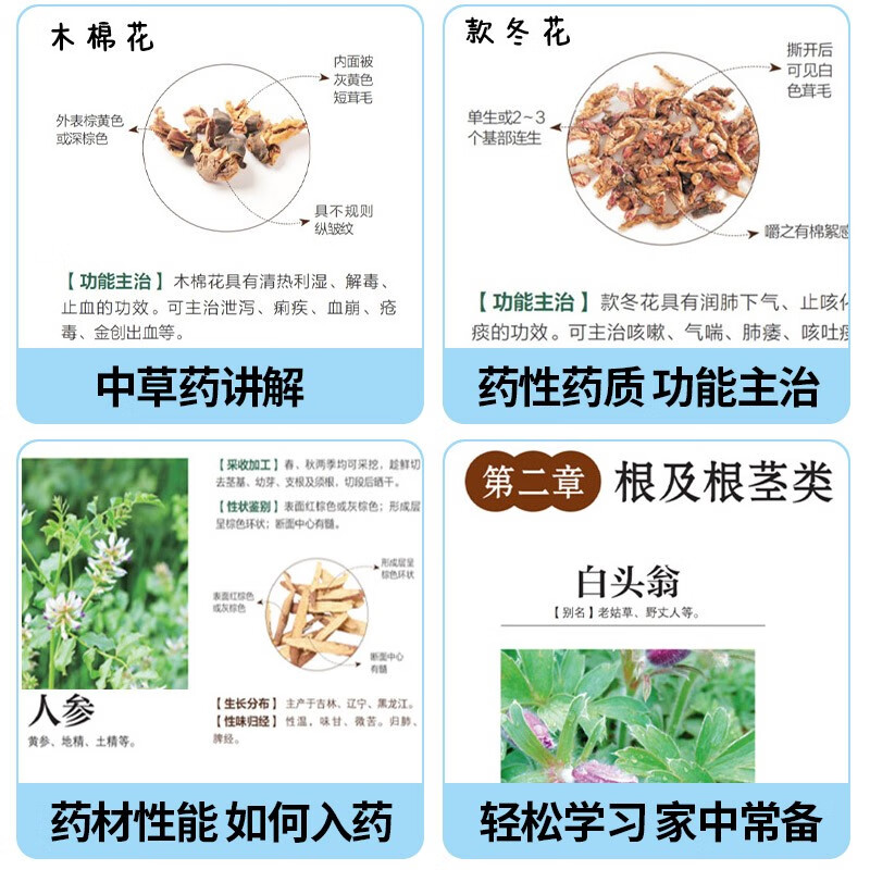 中药材图鉴大全 [正版]彩图版中药材图鉴大全精选353种常用中草药介绍基础知识来源形态生长分布性味归经及功能主治用法用量高清大图