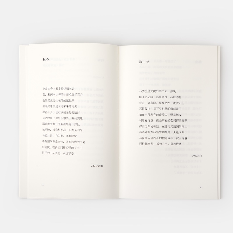 变得厉害 [正版]2024豆瓣年度书单变得厉害 刘天昭著作艺文志诗集谈初老精神危机上海文艺现当代诗集图书籍 另著散文集出高清大图