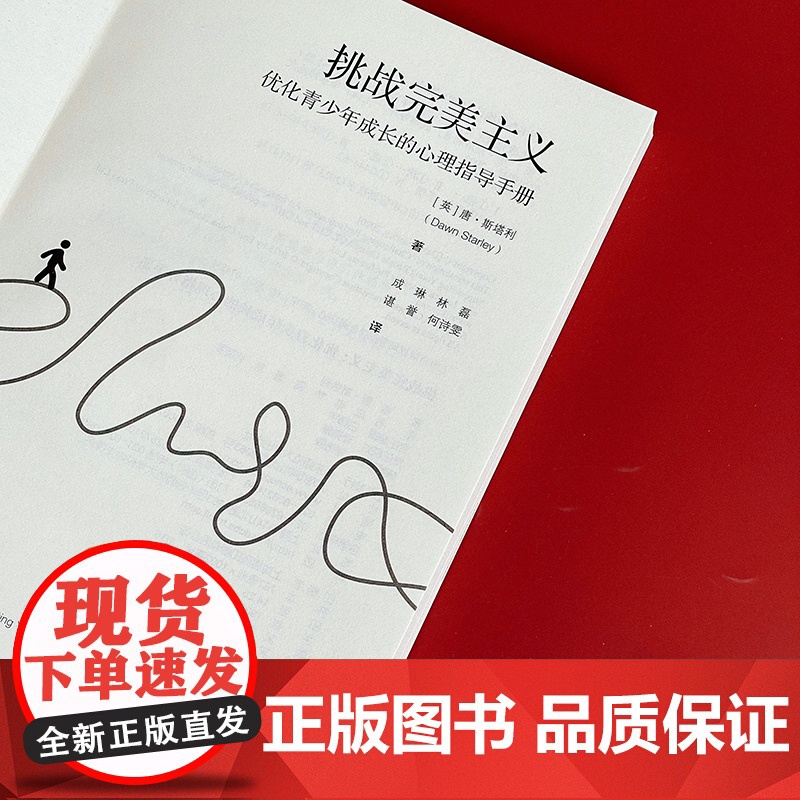挑战完美主义 优化青少年成长的心理指导手册 青少年心理健康 华东师范大学出版社高清大图