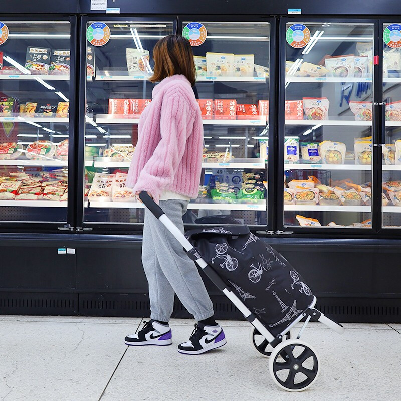新越昌晖 买菜车手拉车折叠购物车铝合金小推车家用行李车拉杆车便携手推车小拖车户外郊游拉货车 F51046高清大图