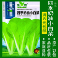 蔬菜种子四季播盆栽番茄黄瓜辣椒西瓜籽孑大全罗卜蕃茄苏州青黄心 奶油小白菜约2000粒 均码