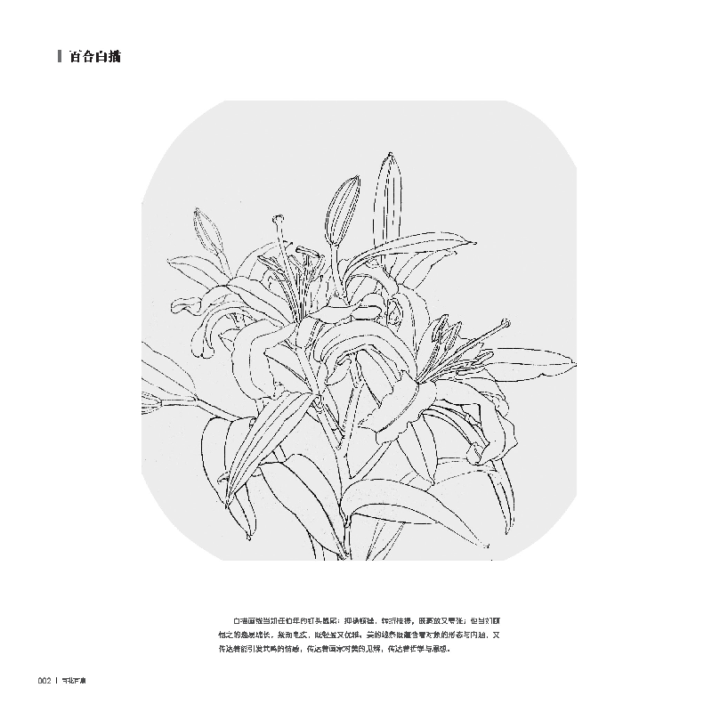 醉染图书百花百扇——花卉白描技法与赏析9787539343679高清大图