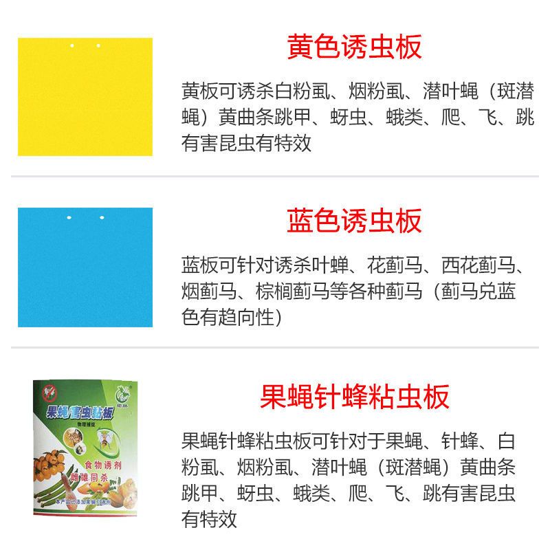 大棚果园花园专用黄板粘虫蓝板双面特粘粘虫板诱虫板灭小飞虫果蝇 10张 黄色通用送诱蝇药[家庭推荐]
