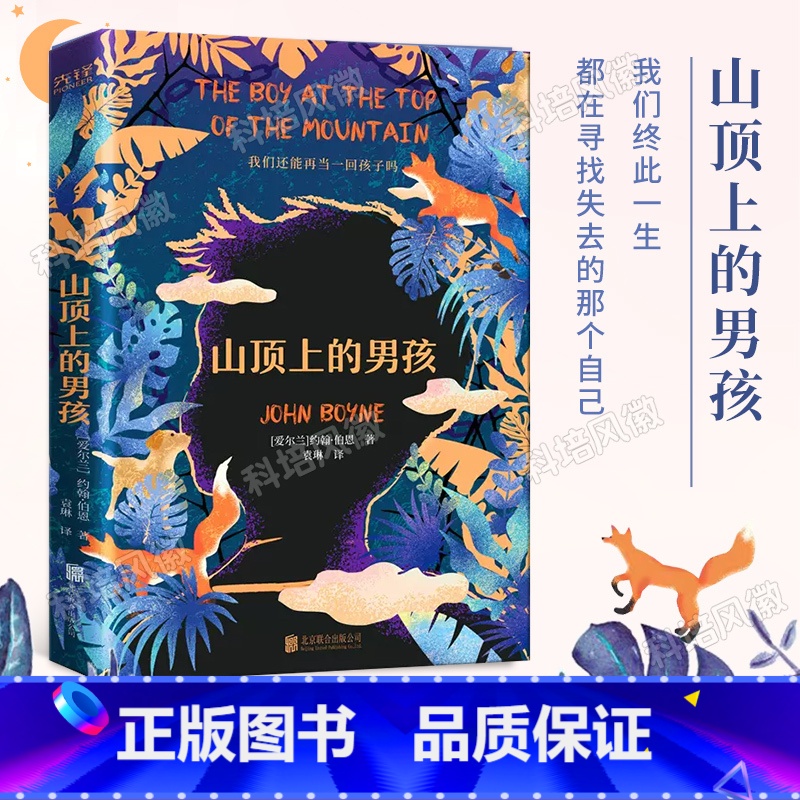 山顶上的男孩 【正版】山顶上的男孩 爱尔兰新锐作家 卡耐基勋章获得者 约翰·伯恩 著 穿条纹睡衣的男孩 姊妹篇