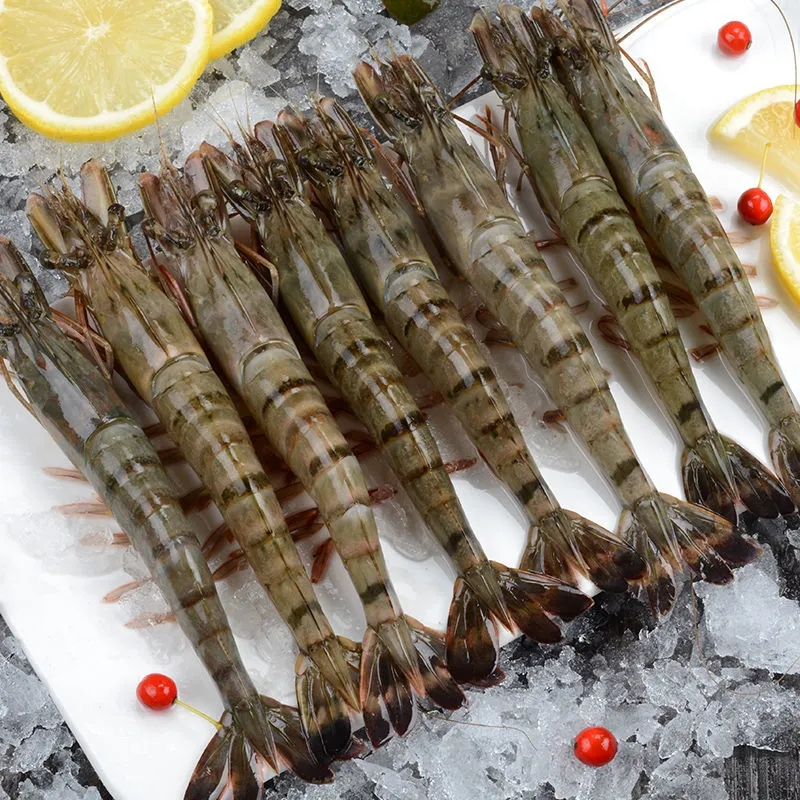 野生黑虎虾虾子大虾 m号大虾14-16cm 两盒装 鲜活新鲜大号 海虾