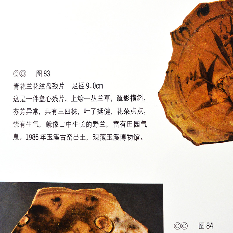 [正版] 中国古陶瓷标本:云南玉溪窑 中国古代名窑系列丛书考古研究鉴定鉴赏收藏古陶瓷大全图鉴文物艺术品资料参考书籍中国高清大图