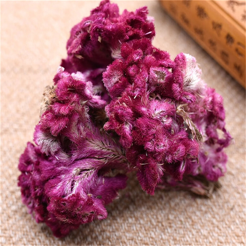 鸡冠花500g克紫鸡冠花干花鸡冠花凤尾大红鸡冠花高清大图