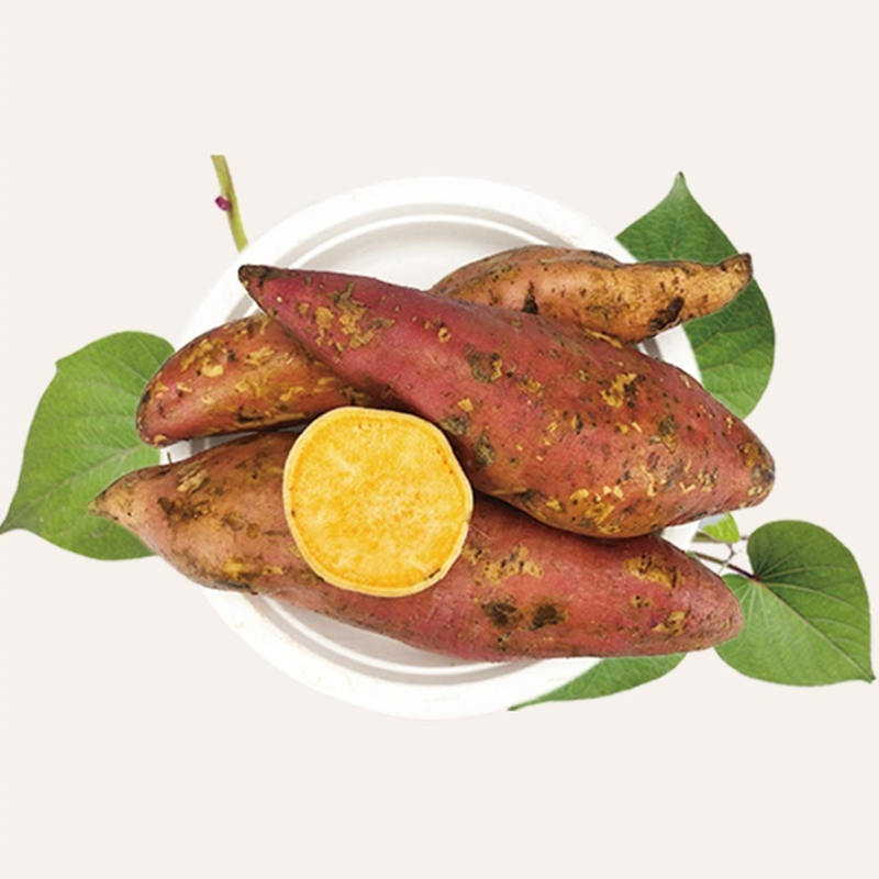 中华特色宜宾馆新鲜水果红薯沙地红心蜜薯新鲜地瓜山芋5斤