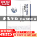 两岸发展的文化合力:第二届两岸文化发展论坛文集